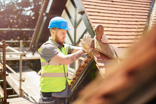 Best Roof Gutter Cleaning  in Boron, CA