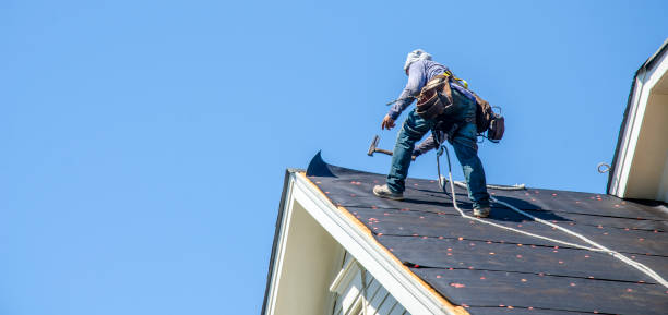 Best Roof Gutter Cleaning  in Boron, CA